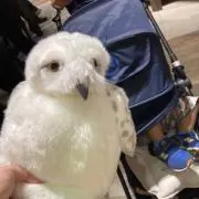 モぐの画像