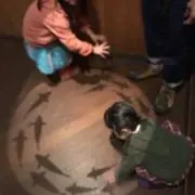 ふんがふんがの画像