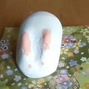 うさの画像