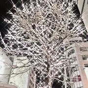 おソノ