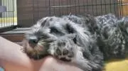 ゆききの画像