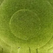 meanの画像