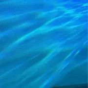 んの画像