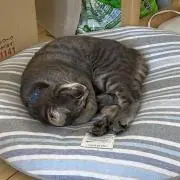 あーちゃん