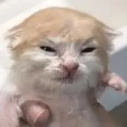 プロフ見てくださいの画像