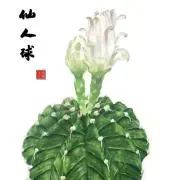m-greenの画像