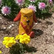 タカハンの画像