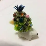 sakoの画像