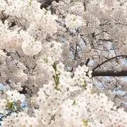 けいの画像