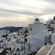 パーキンの画像