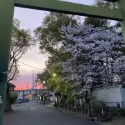 Rhythmhigherの画像