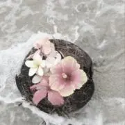 アロハの画像