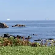 Coreyの画像
