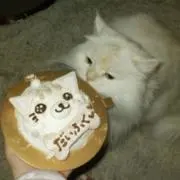 だいふく