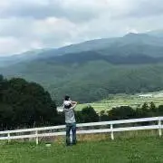 菜の花　断捨離中の画像