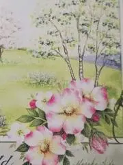くるみ     即購入OK／匿名配送の画像