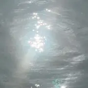 tttの画像