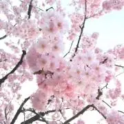 iの画像