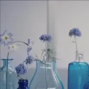 MIMIの画像