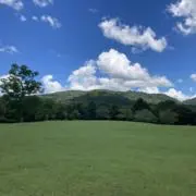 よこまるの画像