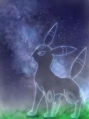 リアン☆ 即決無言購入OK☆匿名配送の画像