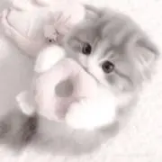 うずら