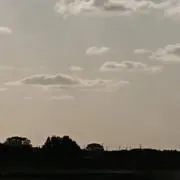 ユミの画像