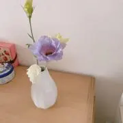 なっちゃん