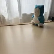 やさまるの画像