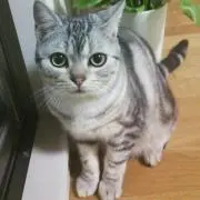 ウツボうつぼの画像