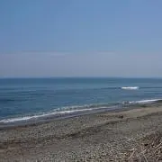 ガッツ★プロフ必読の画像