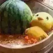 すいかの画像