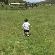 なおこな