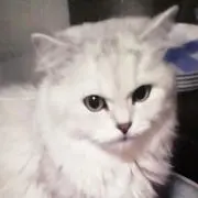 masaoの画像