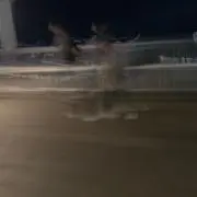 たこ