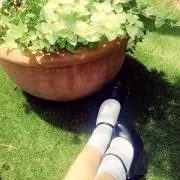 まりめっこの画像
