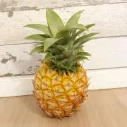 フォロー割あり pyonショップ☻の画像