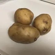 カナリアの画像