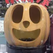 しゃけの画像