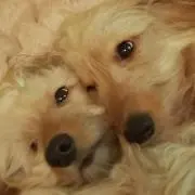 るった。