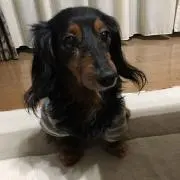 ゆきの画像