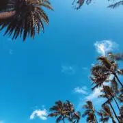 nmの画像