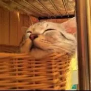 kaoの画像