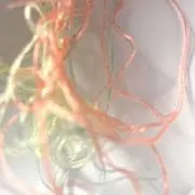 もこの画像