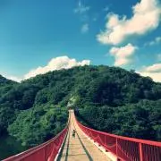 FMFMの画像