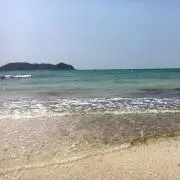 きびなごの画像