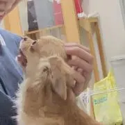 いお