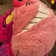 サンジの画像