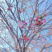 かずのりの画像