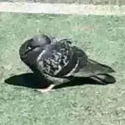 Image of なな[1か月以上前の出品は即購入❌]